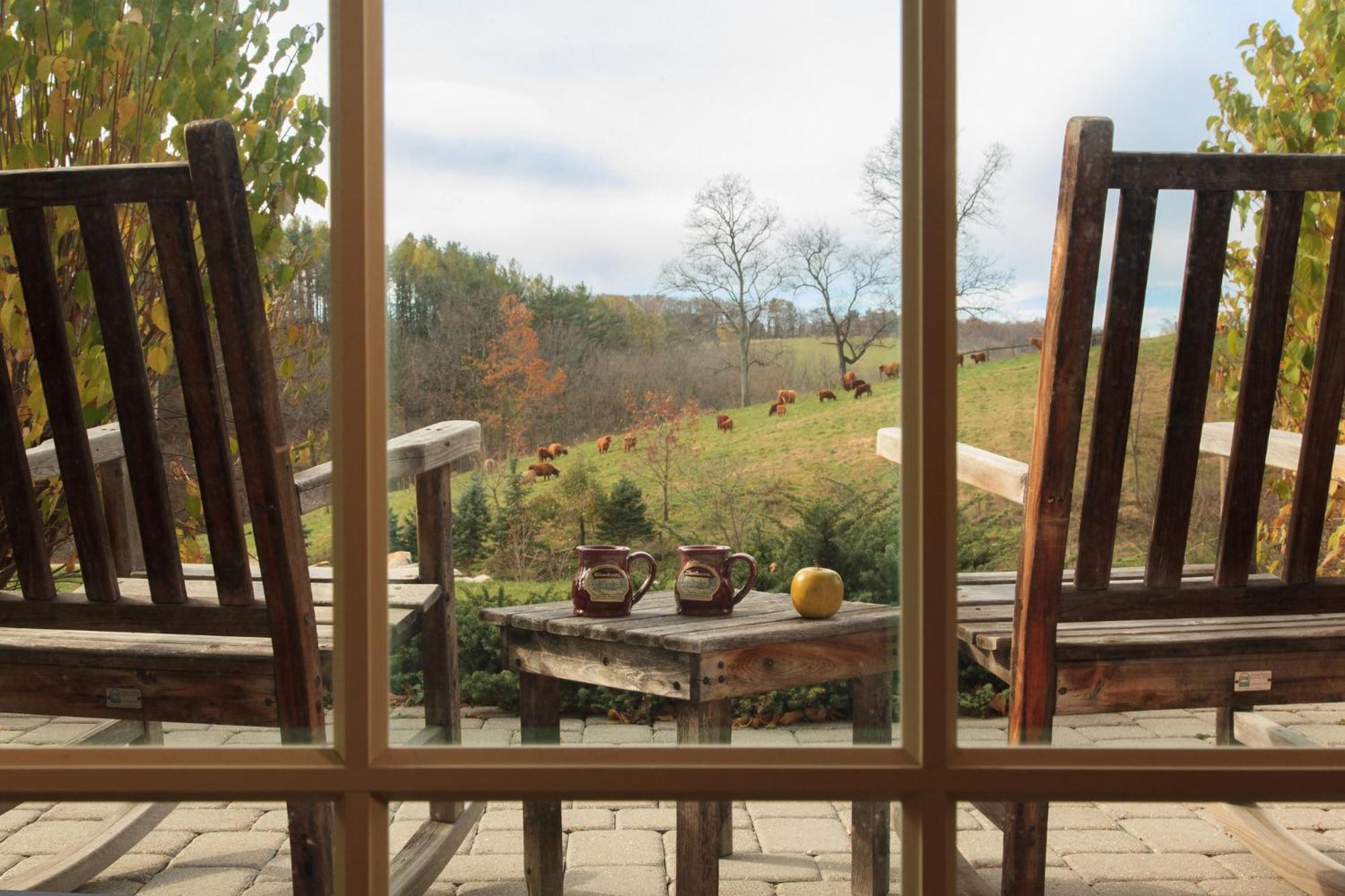 Glasbern Fogelsville Extérieur photo
